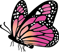 Wings Above Kamloops Butterfly